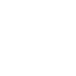 SALT Luxury Miami Logo white