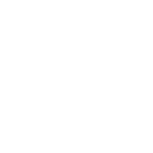 SALT Luxury Miami Logo white