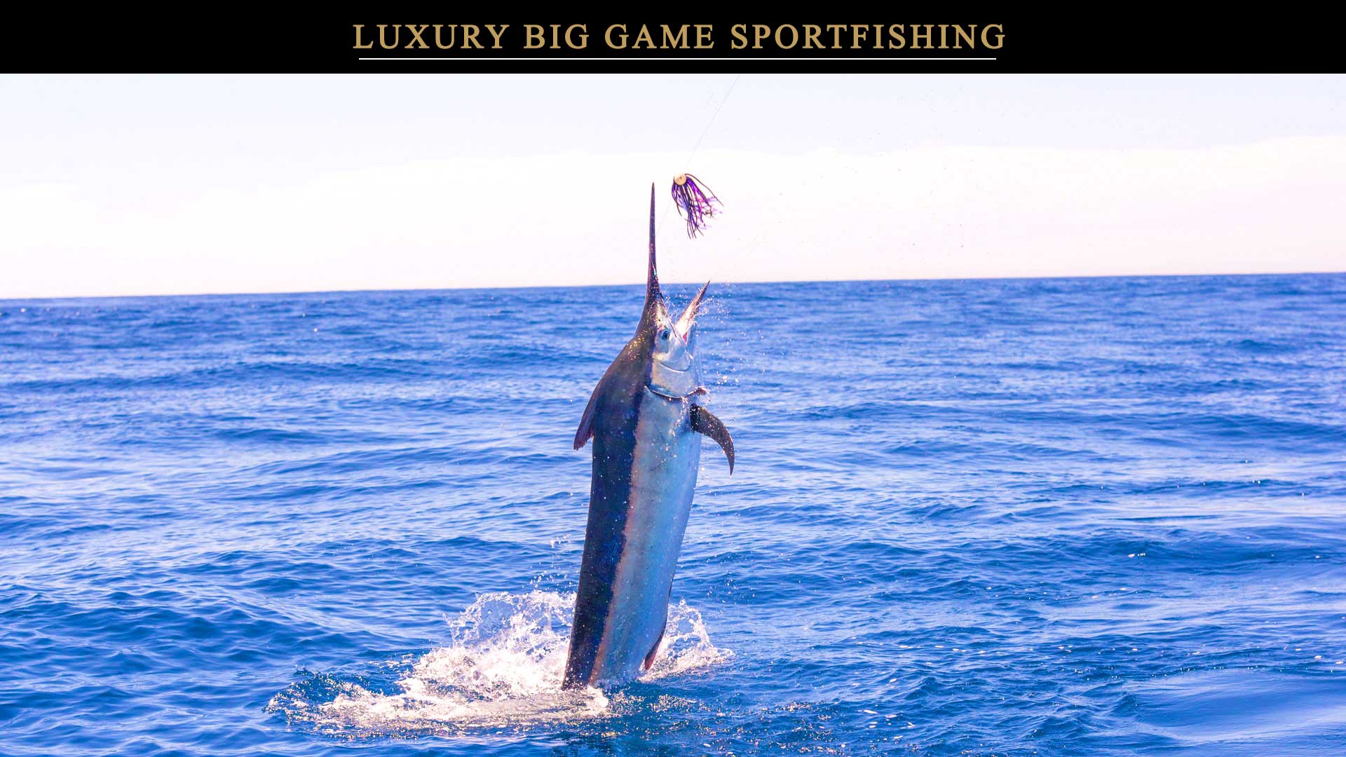 SALT Luxury Miami - Luxury Private Yacht Charter Big Game Sportfishing